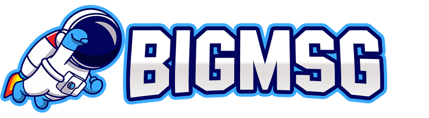 Logo BIGMSG platform